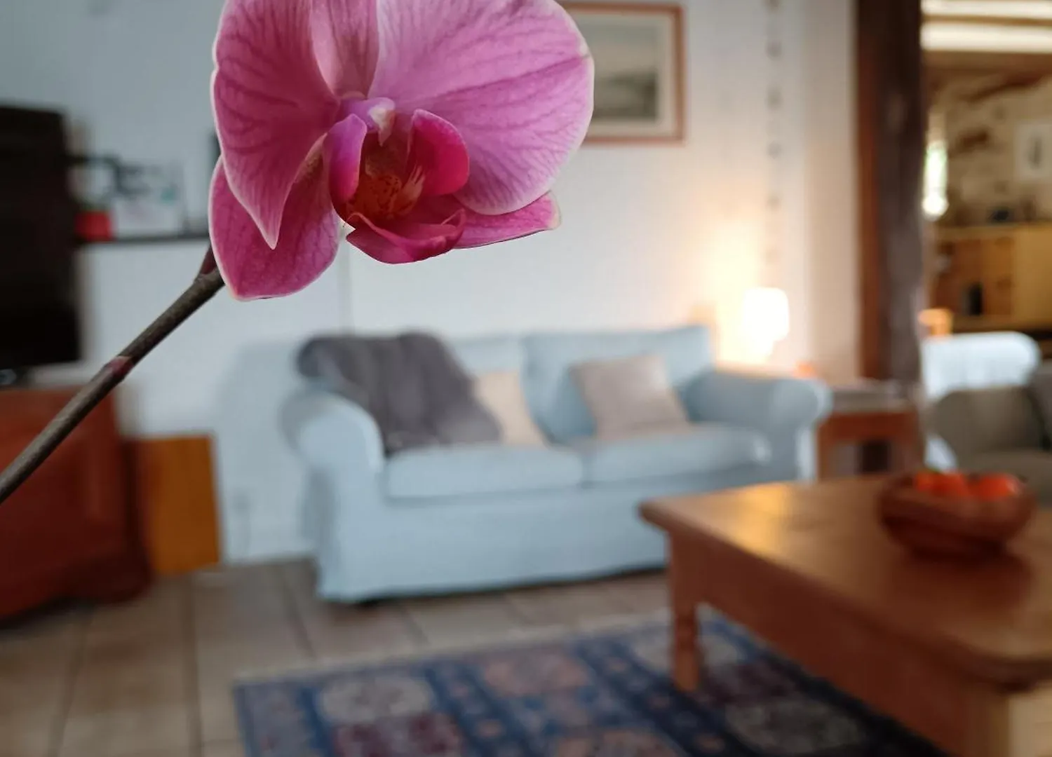 Gite Les Volets Bleus Du Segur Le Segur Tatil Evi