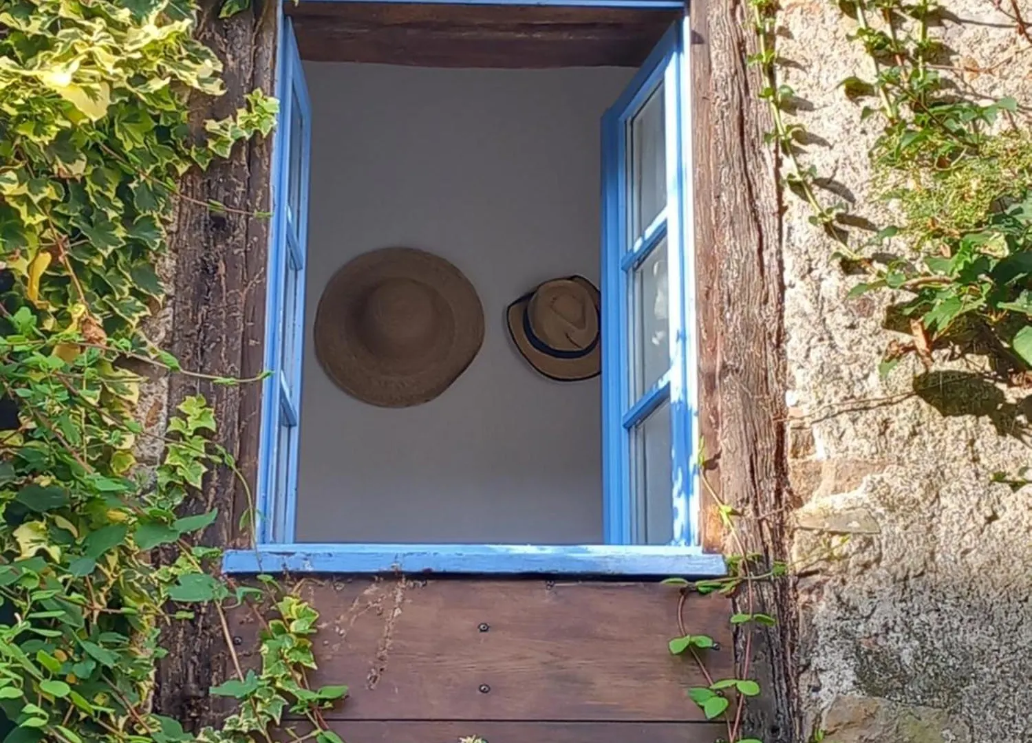 Gite Les Volets Bleus Du Segur Le Segur Tatil Evi