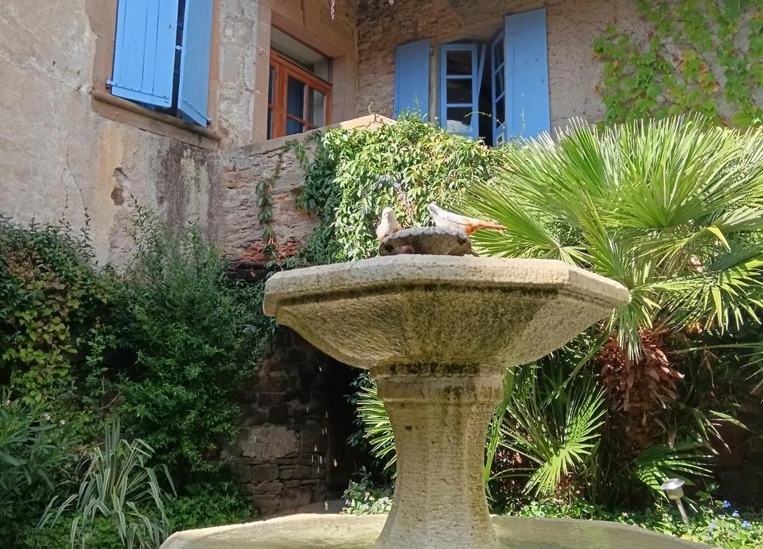 Gite Les Volets Bleus Du Segur Le Segur